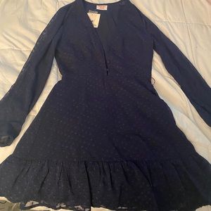 Navy Blue Showpo Mesh Polkadot dress
